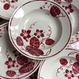 Set of 9 Badonviller Ironstone Soup Plates