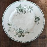 Plat ancien