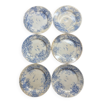 Set of 6 vintage dinner plates