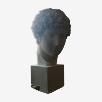 Buste grec en plâtre