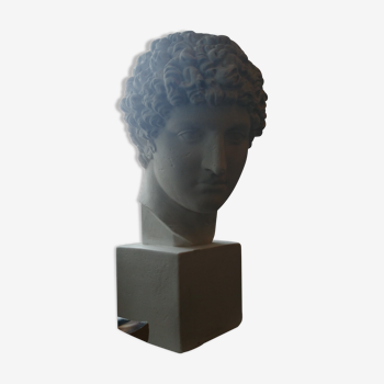 Greek plaster bust