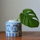 Chinese porcelain vase
