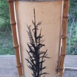 Rattan lamp and parchment 1950