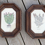 Duo botanical boards