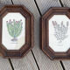 Duo botanical boards