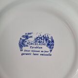 Vintage blue dinner plates