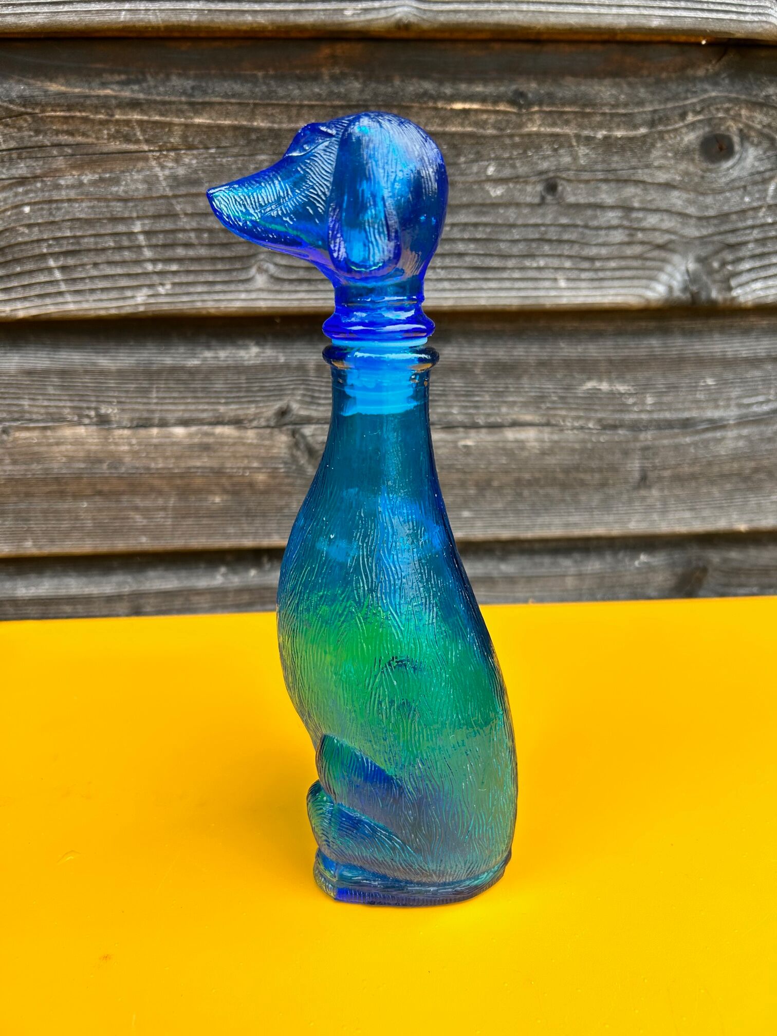 Italian bottle dog polite