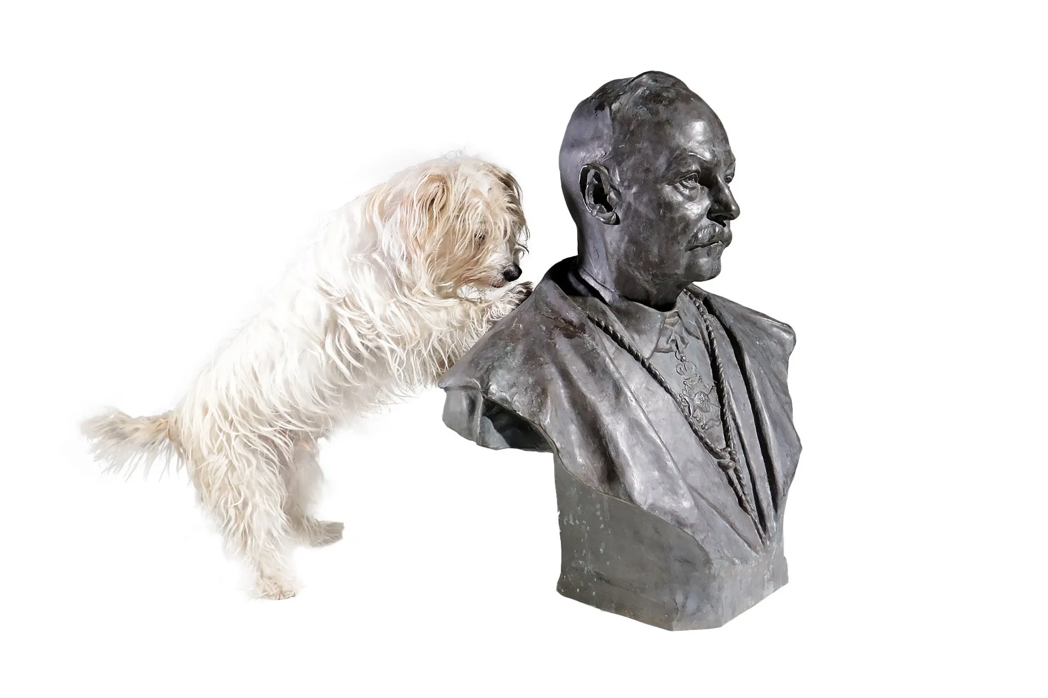 Bronze bust of a gentleman with knighthood order – Frantz Vermeylen, 1921