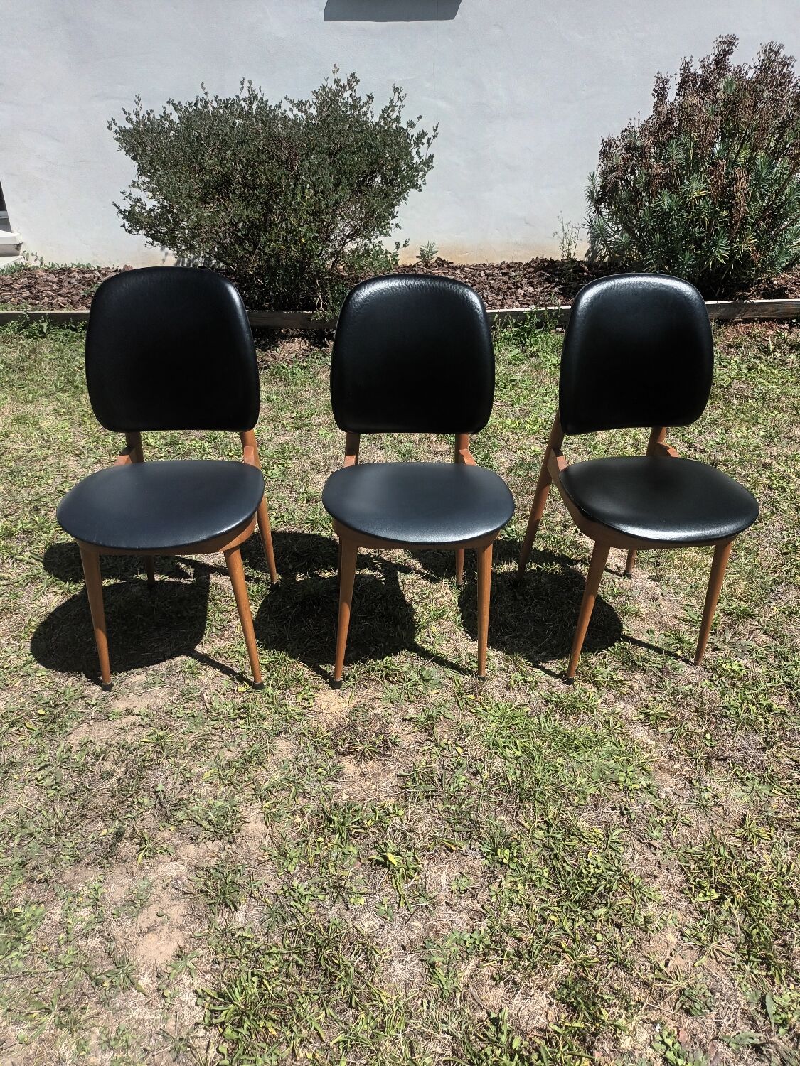 Baumann Pegase chairs