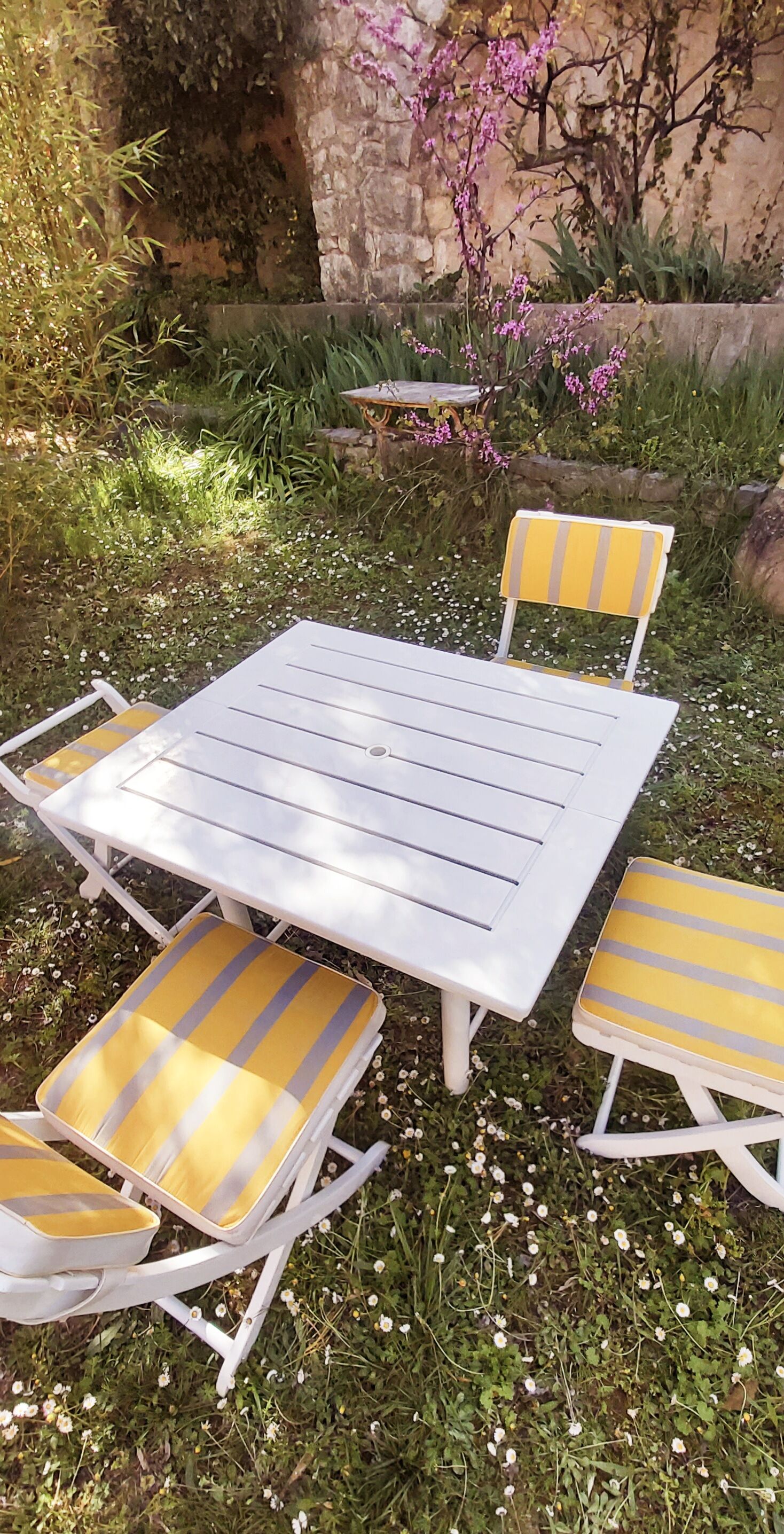 Vintage Triconfort garden set