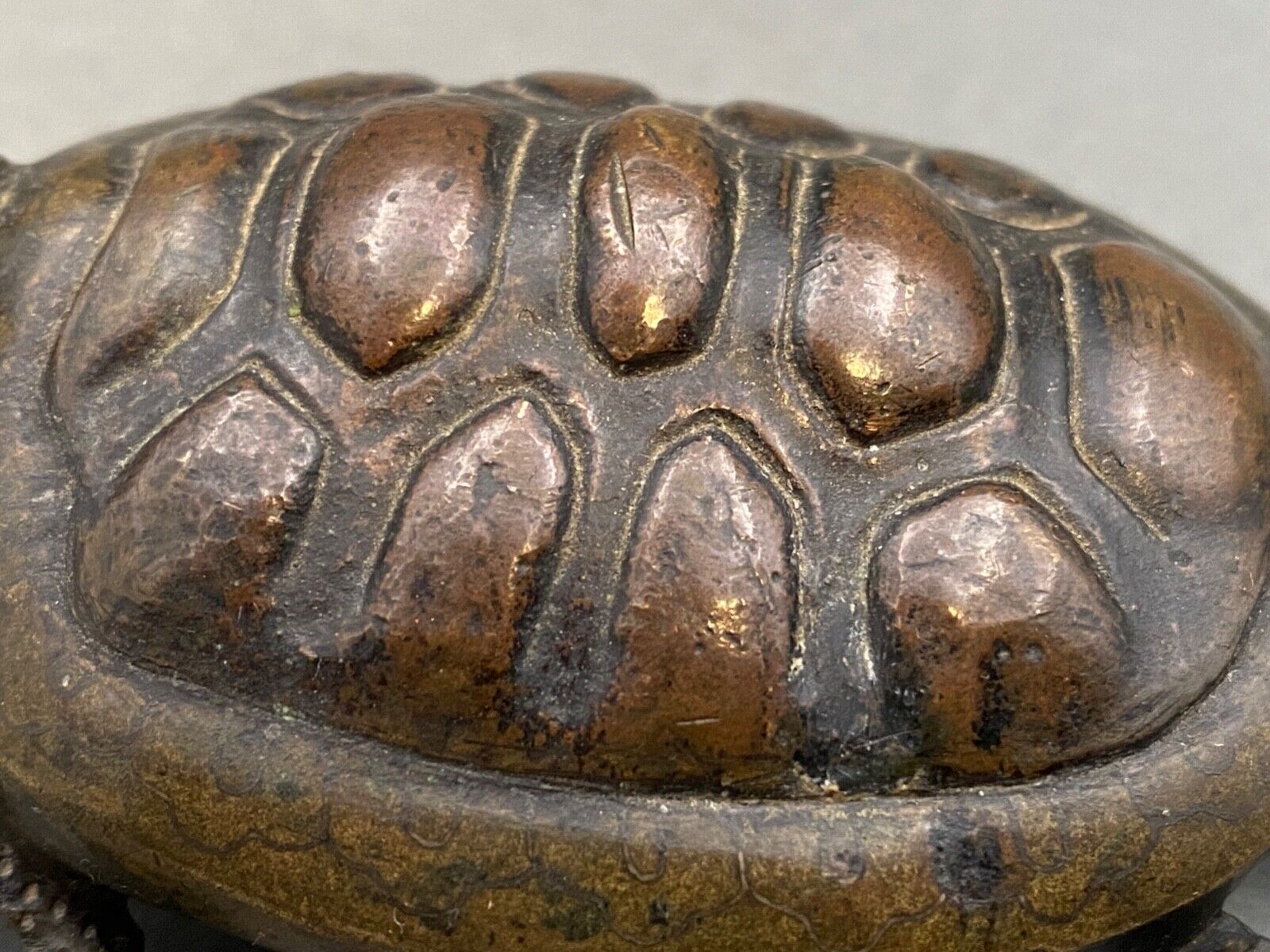 Bronze turtle XIXth Chocolate patina Fine carving