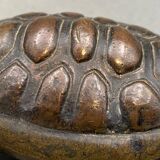 Bronze turtle XIXth Chocolate patina Fine carving