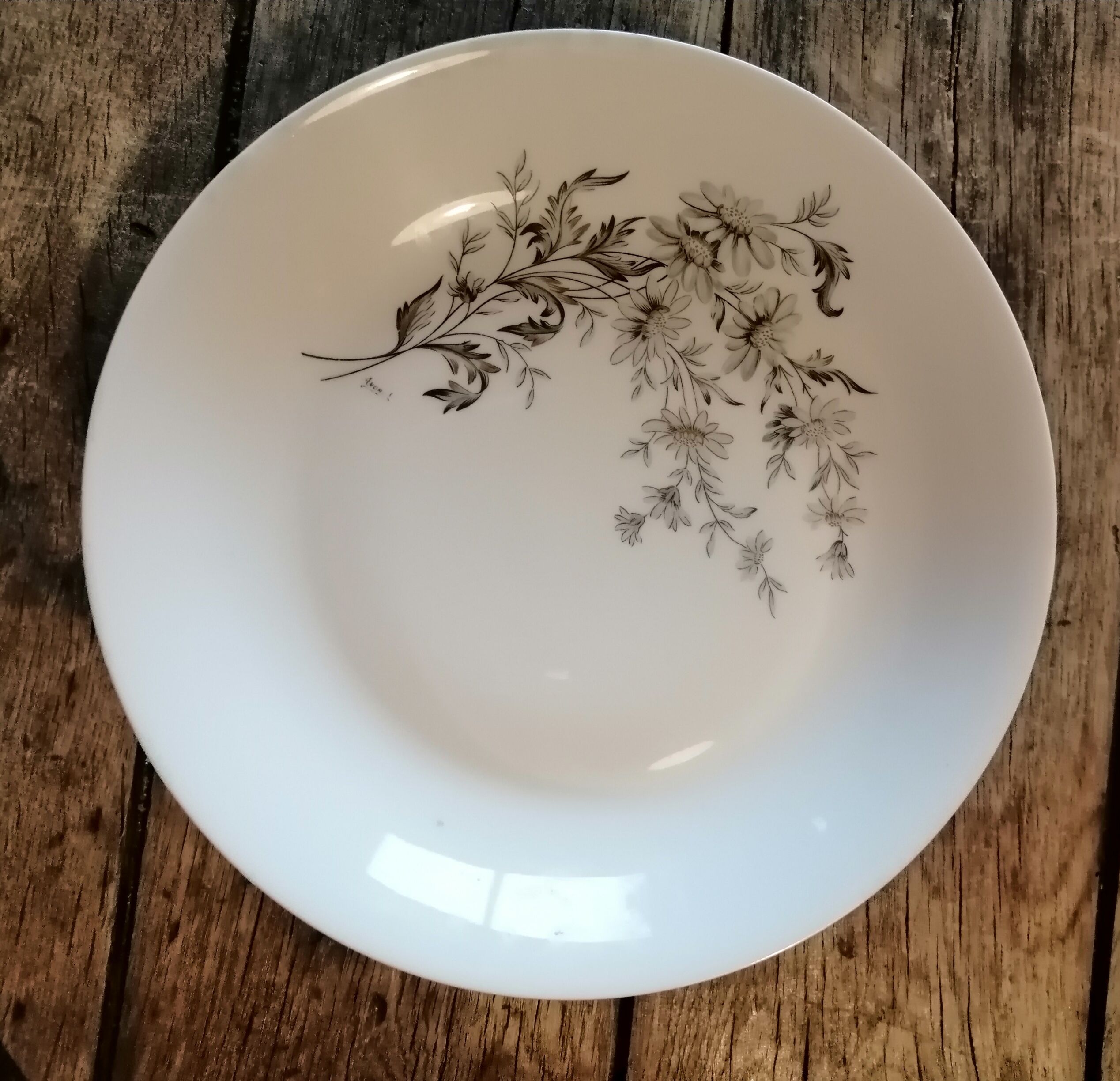 6 porcelain hollow plates