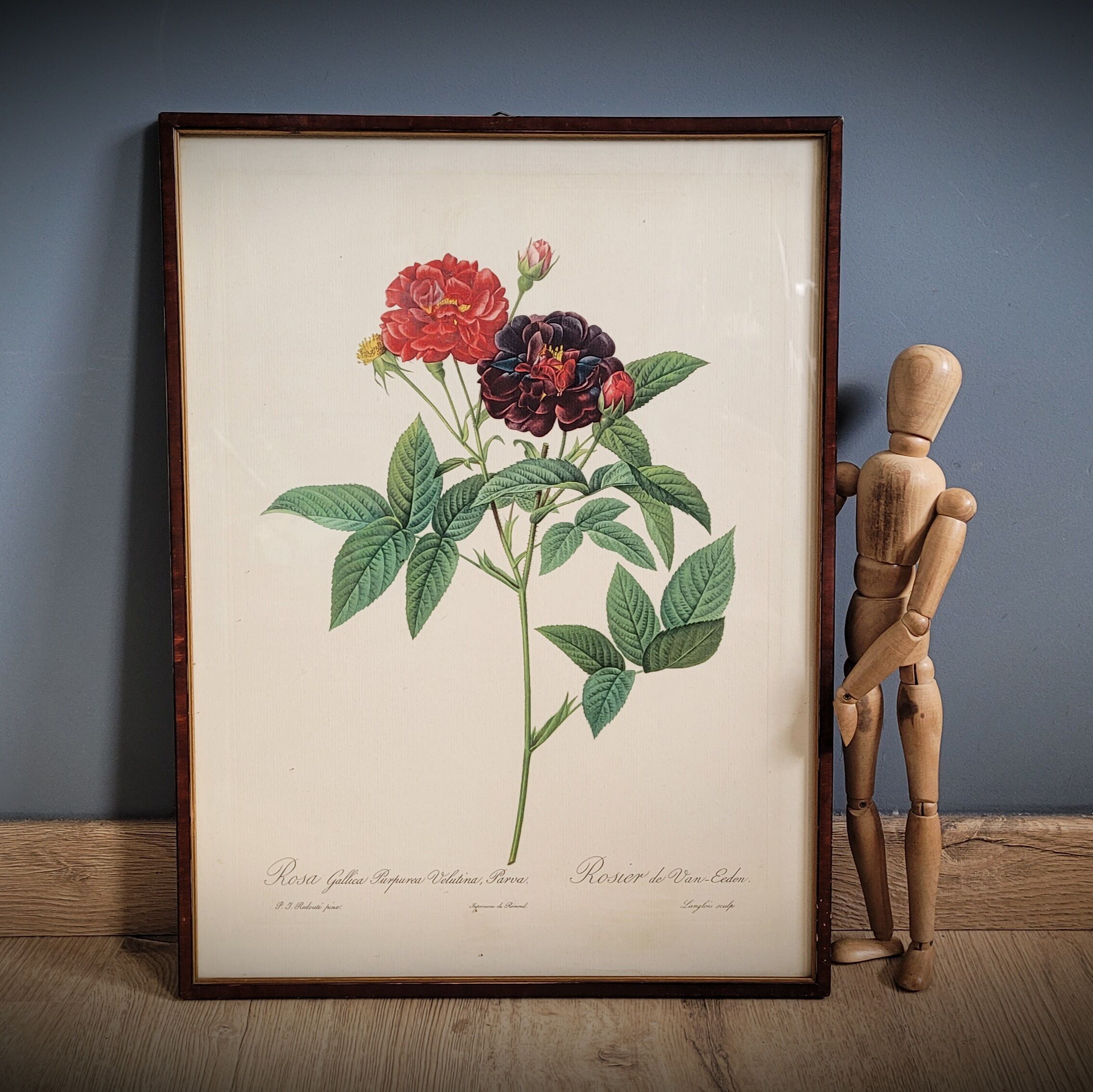 Lithograph frame rose Van Eeden