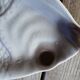 Plat poisson Salins