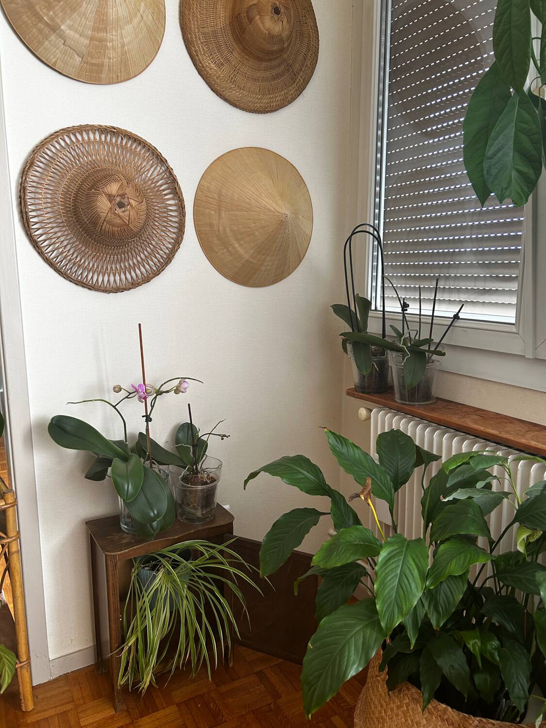 Vintage doll wardrobe