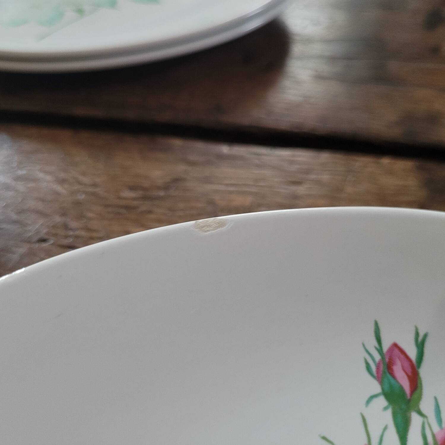 8 oval plates Salins – 1970s – Botanical roses