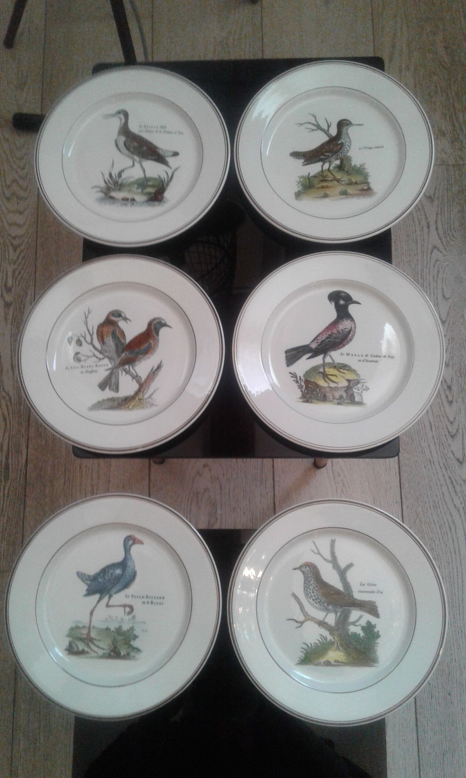 Paradiso plates.
