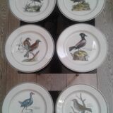 Assiettes Paradiso