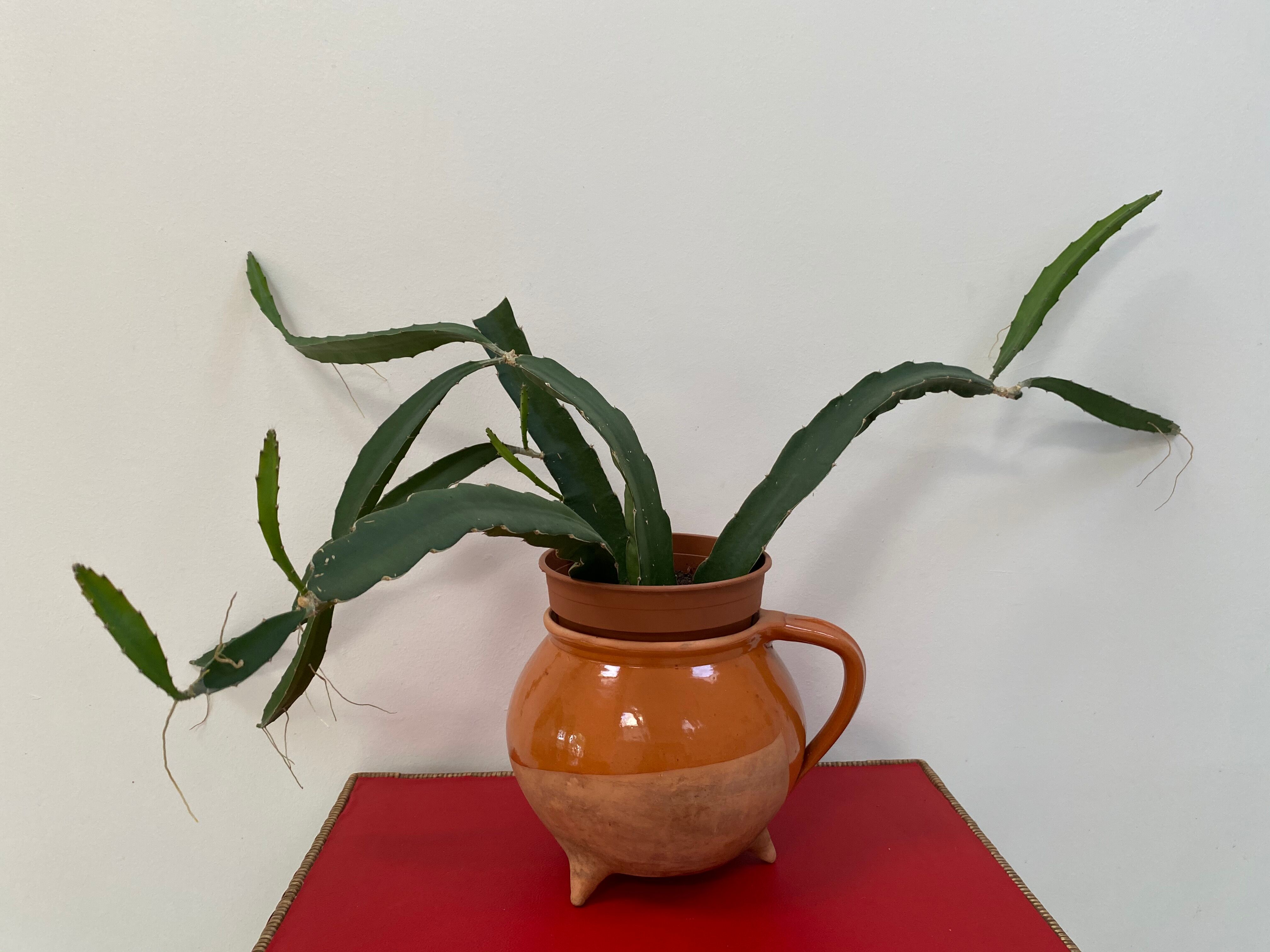Chaudron tripode vintage en terre cuite