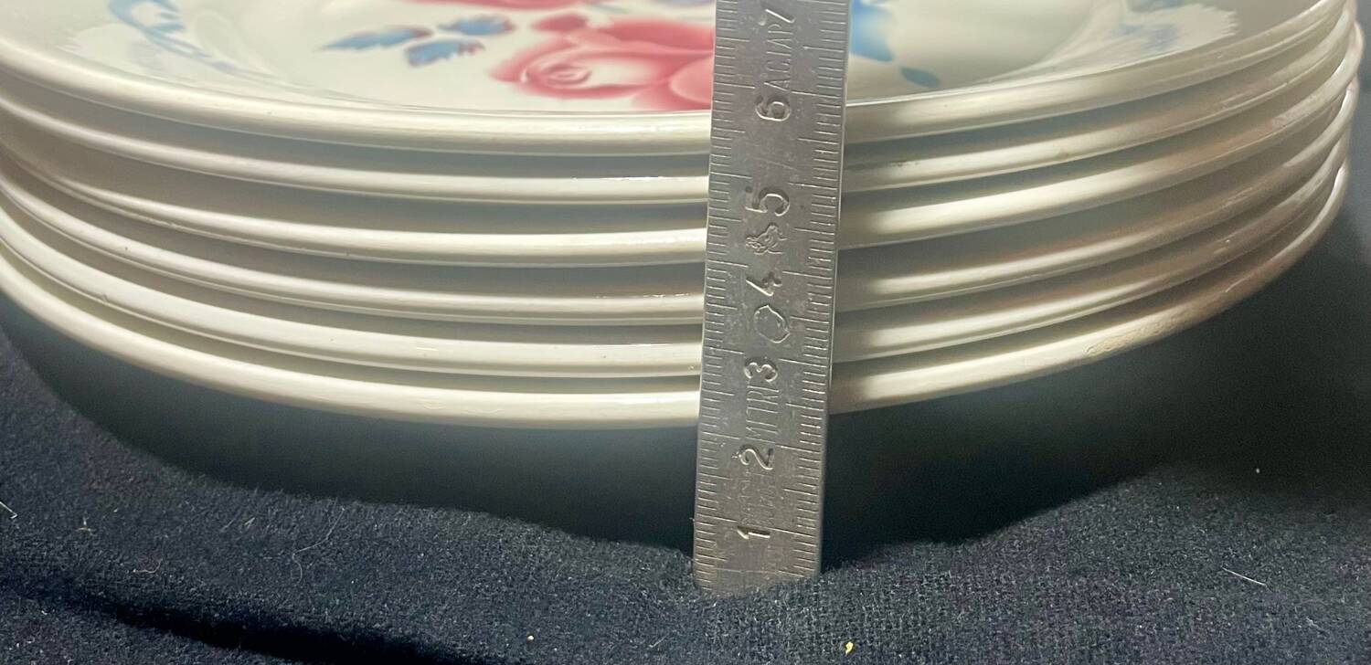 Assiettes « Cannes » Sarreguemines Diguoin.