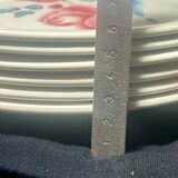 Assiettes « Cannes » Sarreguemines Diguoin.