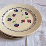 4 dinner plates