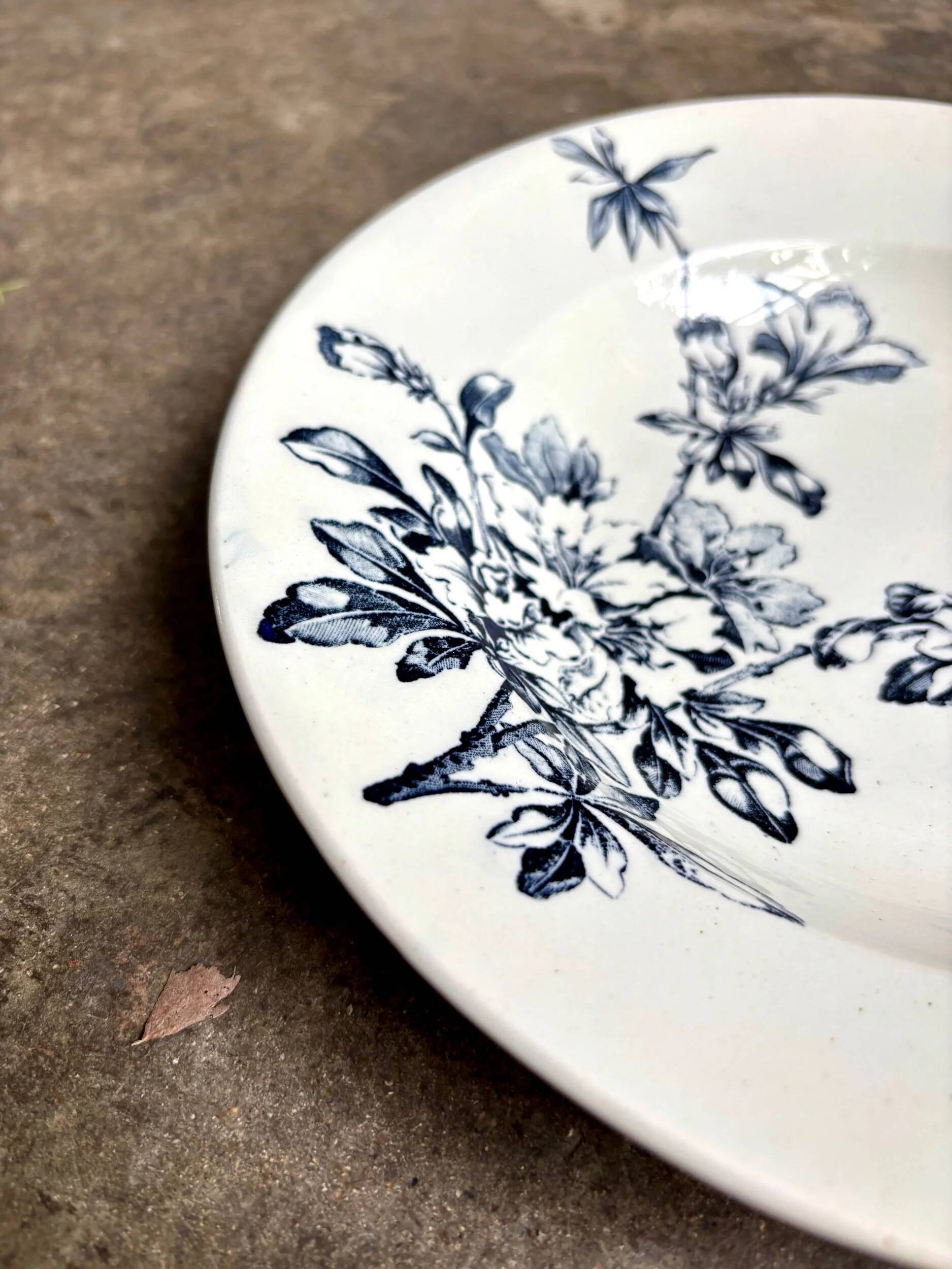 Shallow dish Lunéville in blue ironstone, service "Azalea"