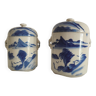 Earthenware tea pots