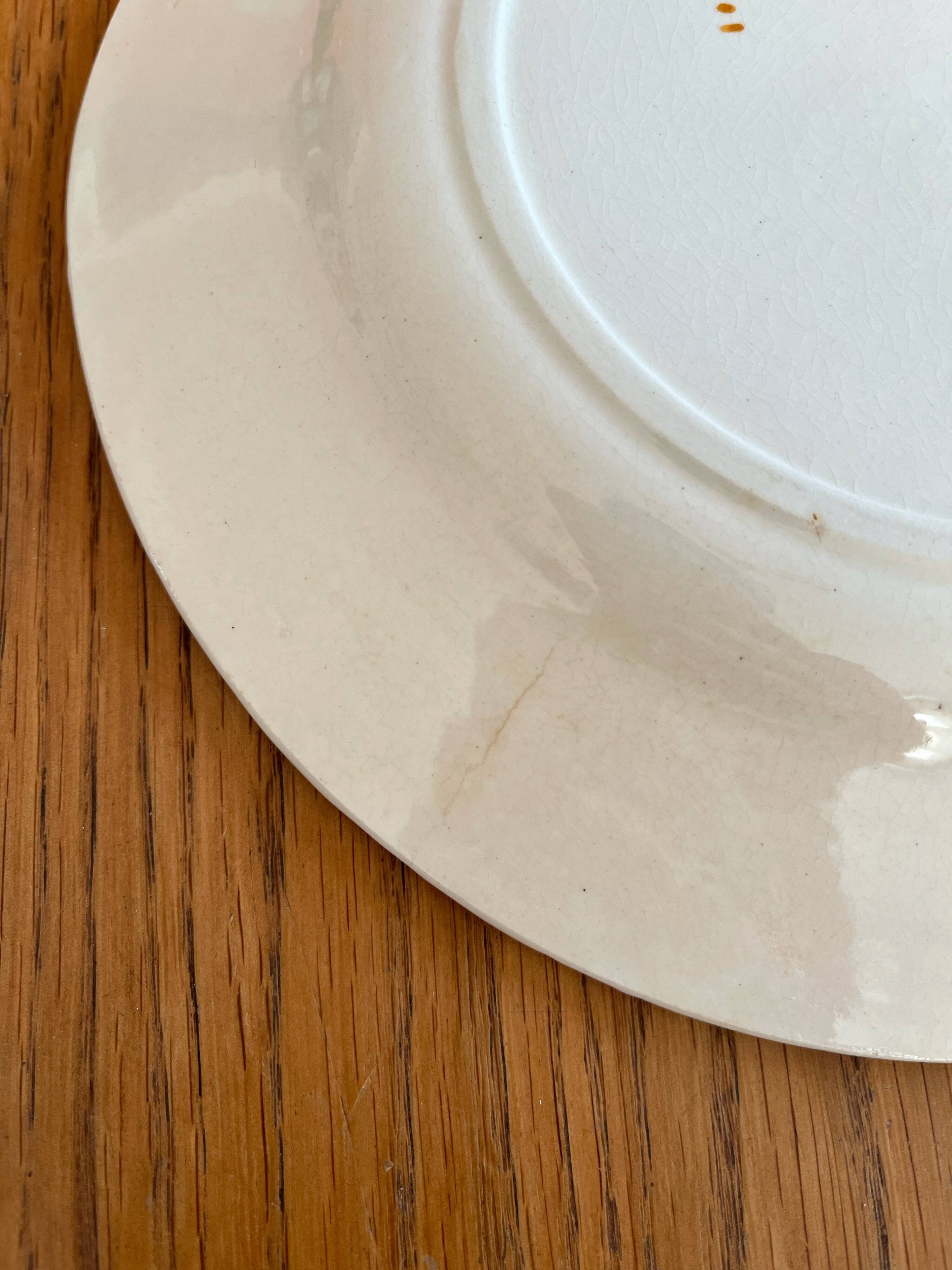 2 flat ironstone plates, Carnations, Creil and Montereau