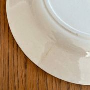 2 flat ironstone plates, Carnations, Creil and Montereau