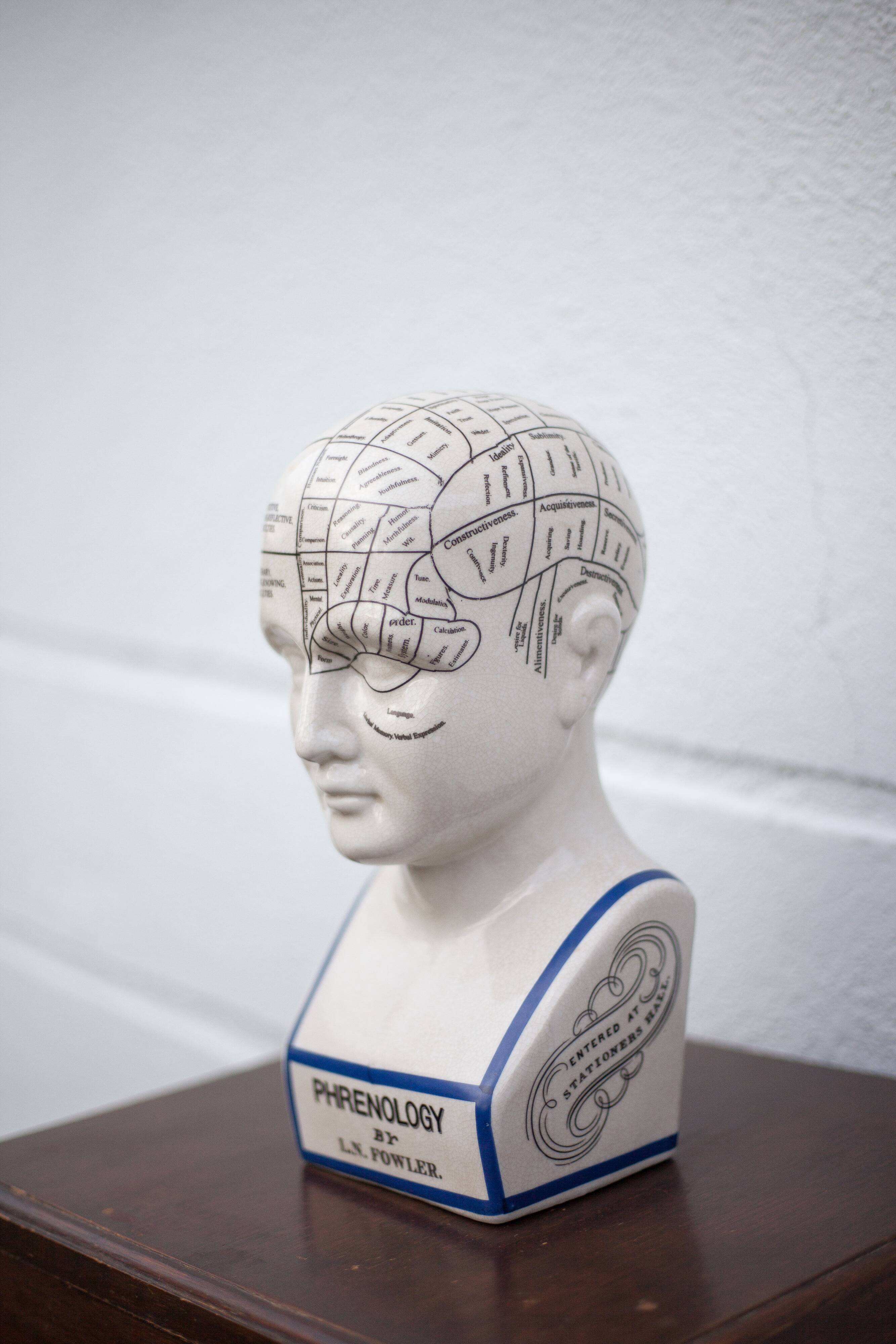 Porcelain bust, Fowler phrenology head, cabinet of curiosities, collection