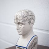 Porcelain bust, Fowler phrenology head, cabinet of curiosities, collection