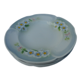 Set of five hollow earthenware plates