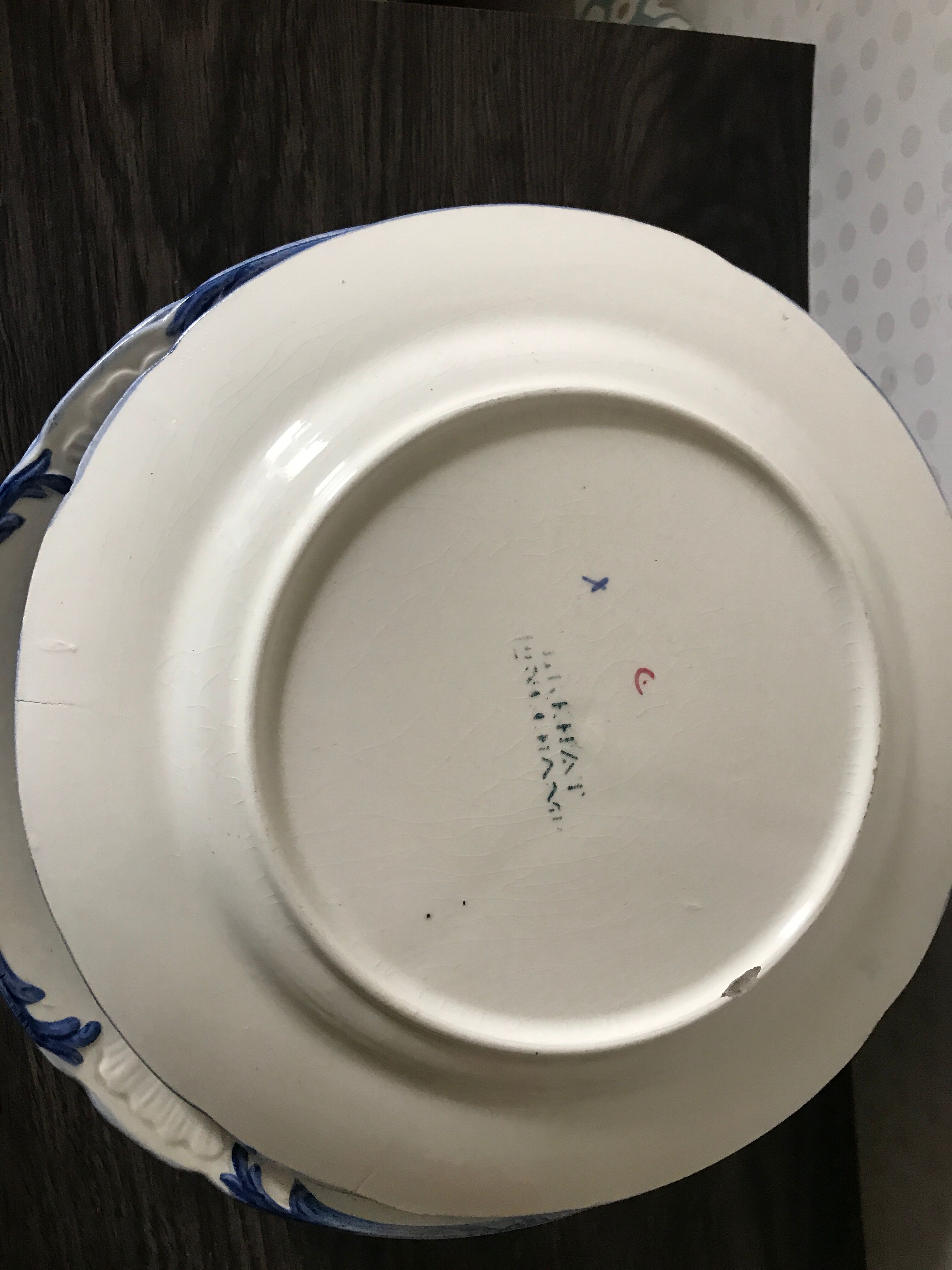 7 plates Longchamp Brehat Model Chardons