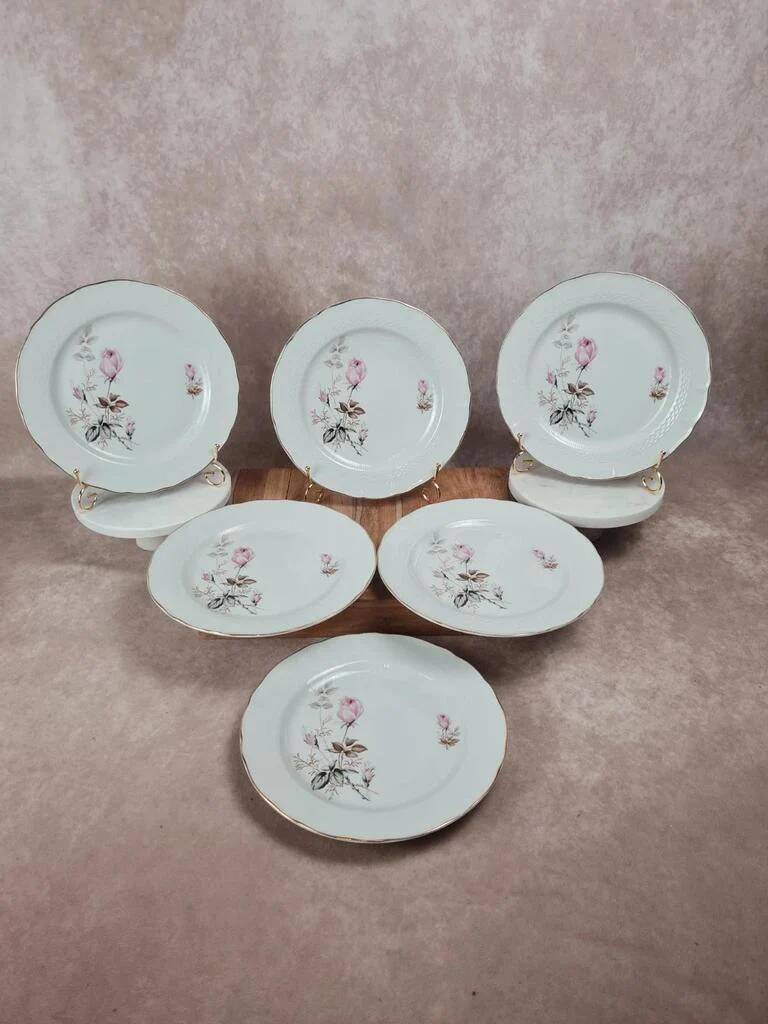 Set of 6 porcelain plates Tognana – antique rose pattern & gold rim