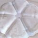 Large divided dish with six sections manufactured by Bernaurd&Co, 1914-1930, Lim