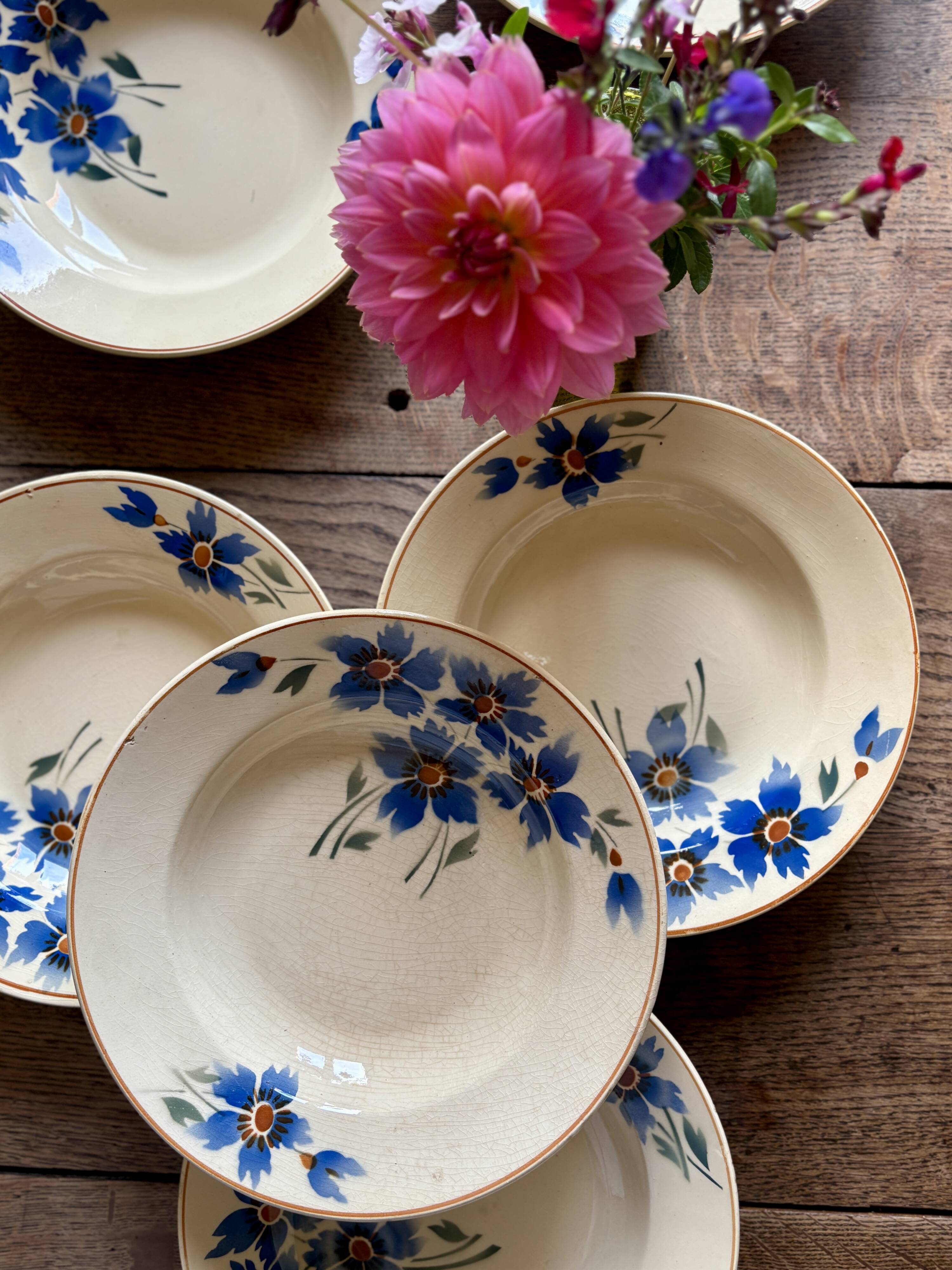 Set of 6 old-fashioned soup plates with blueberry decorations