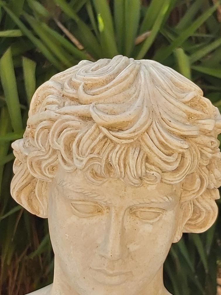 Plaster and marble bust