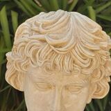 Plaster and marble bust