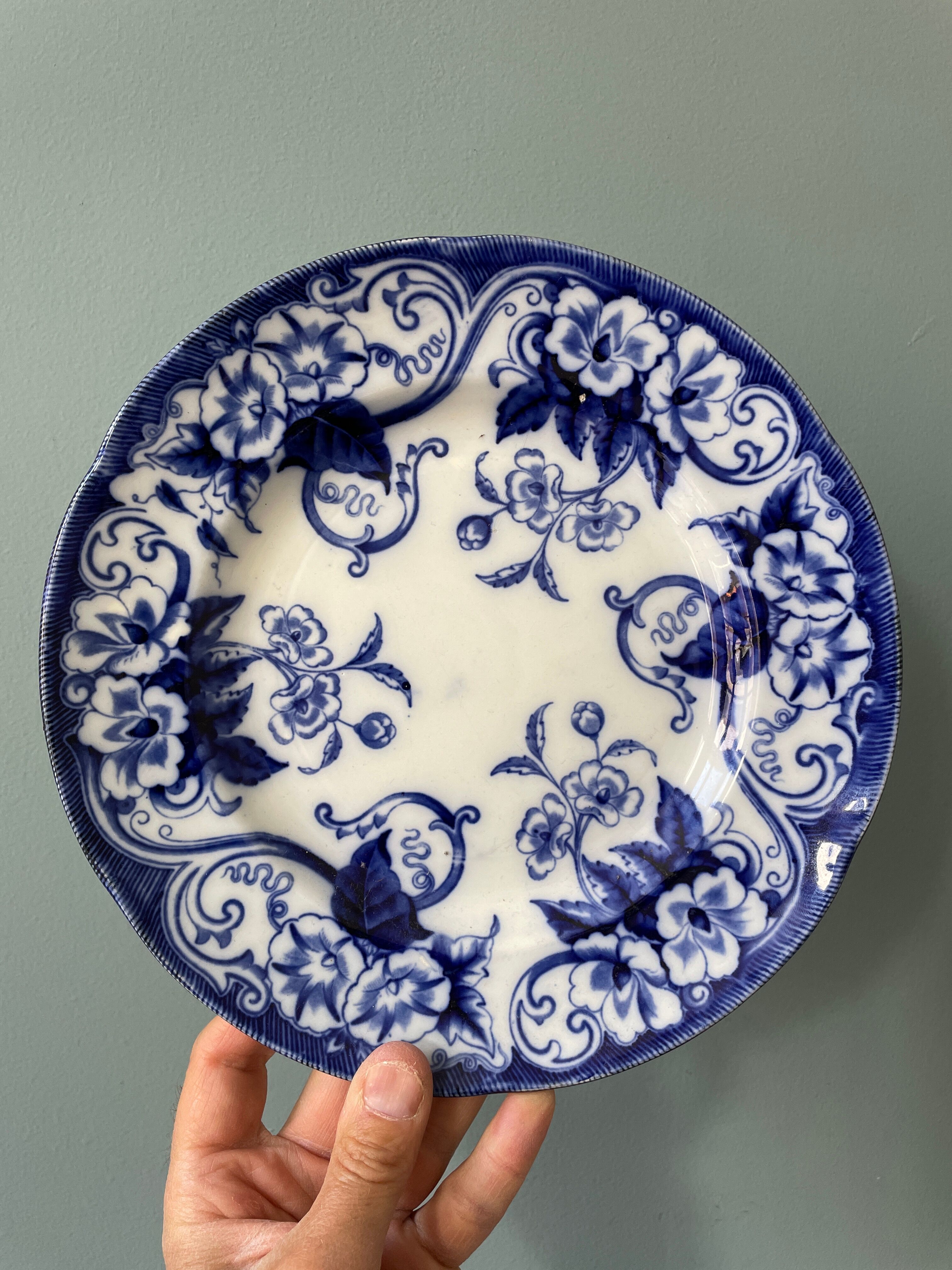Set of 4 flat plates Creil and Montereau, Flora model
