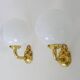 Pair of wall sconces with carp fish, brass and opaline globe.