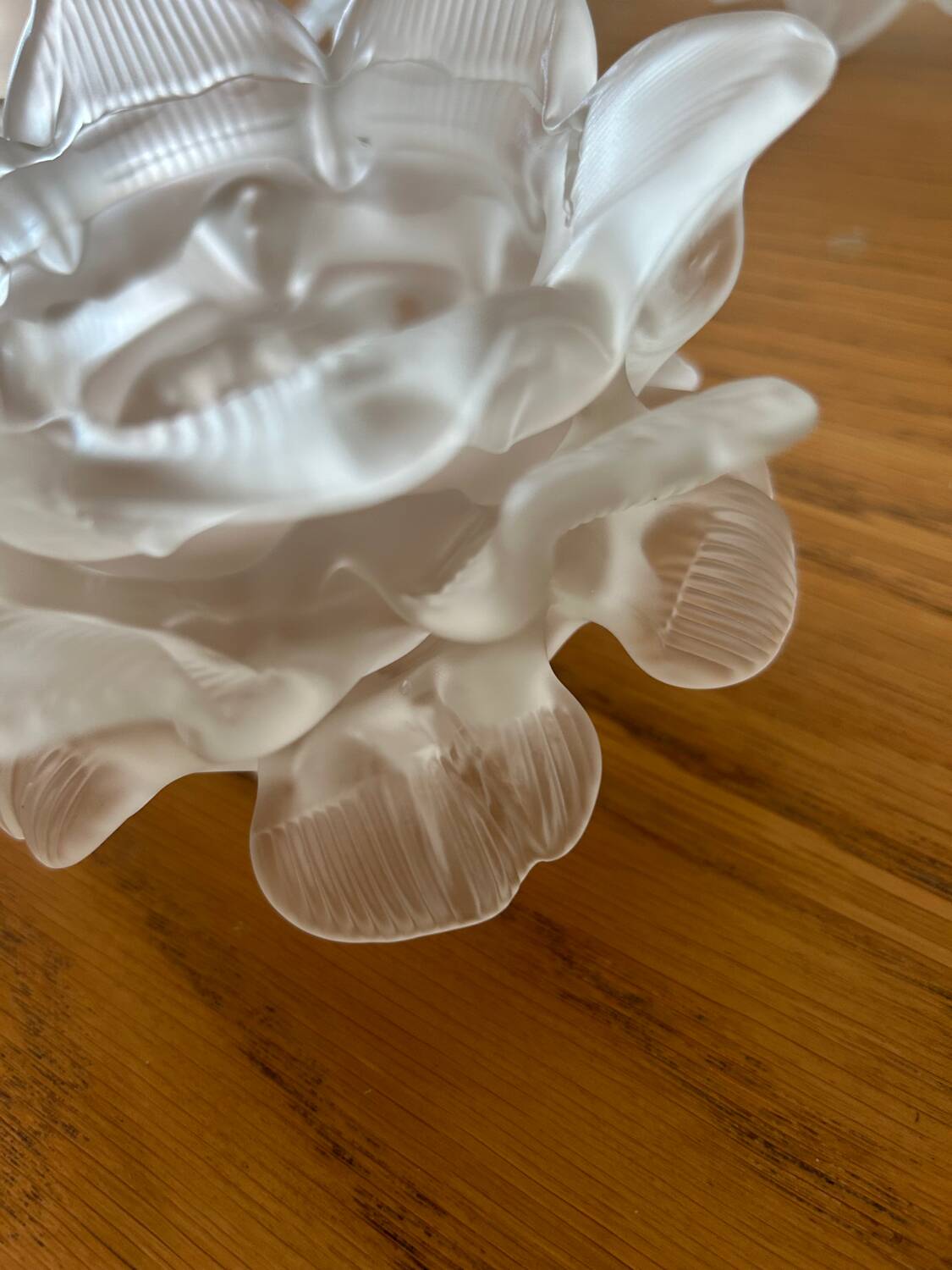 5 glass paste tulips