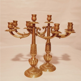 Pair of chandeliers with 5 bronze fires