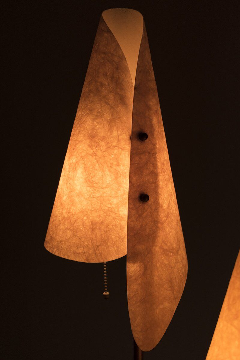 Organically Shaped Floor Lamp
