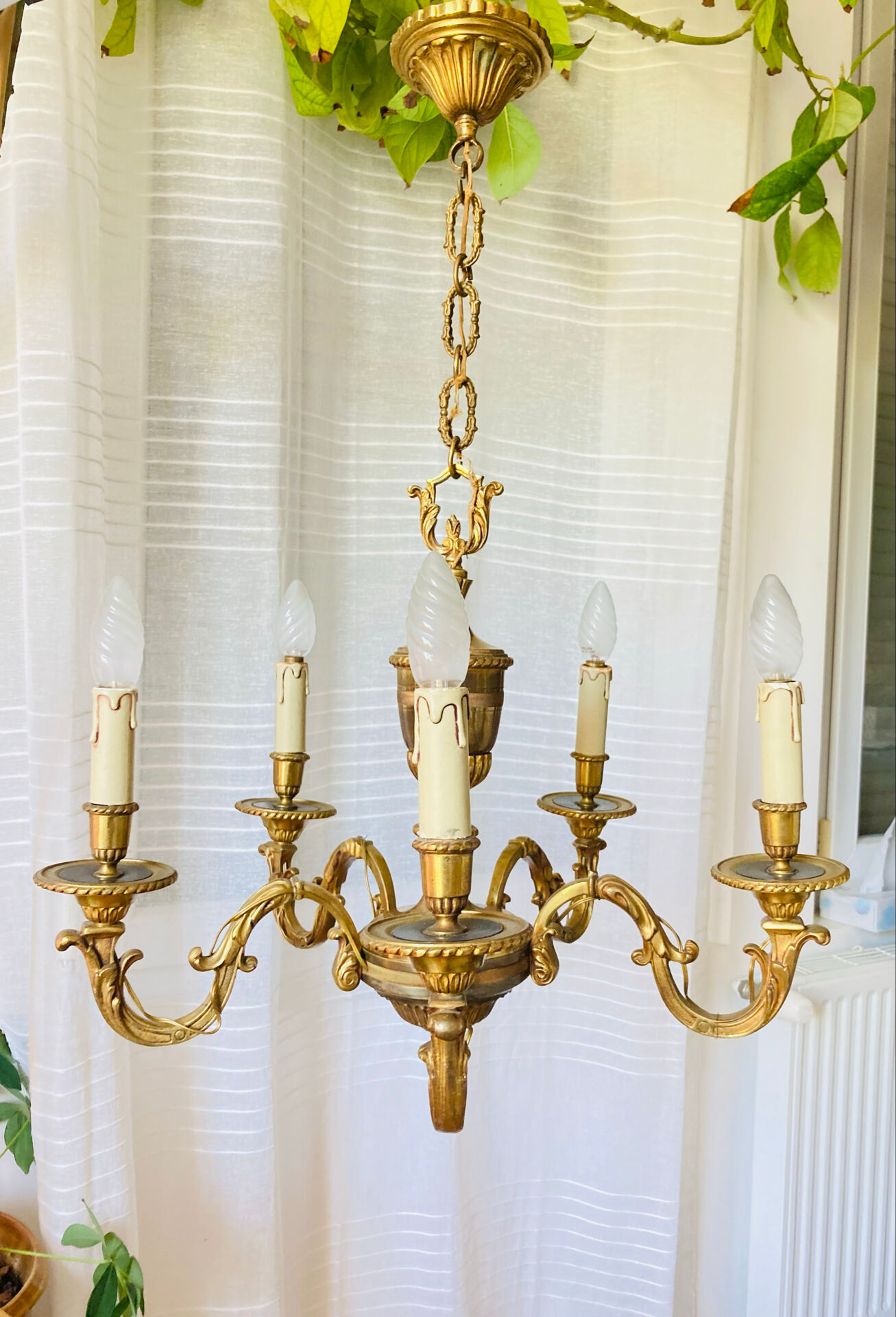 Louis XV style chandelier from the mid-20th century in solid gilded bronze.