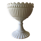 Opaline ring sizer cup