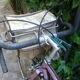 Vintage Eddy Merckx Bike Race