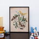 Lithographie gravure papillon vintage - Buffon 1850