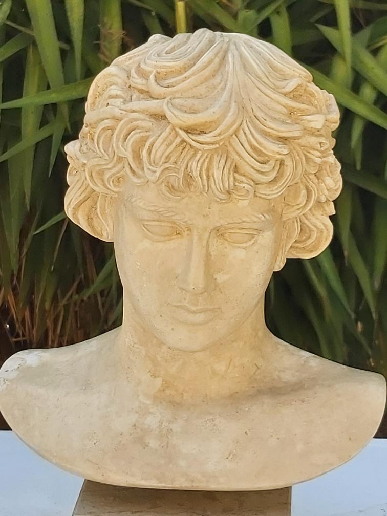 Plaster and marble bust